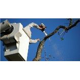 Great Water Tree Service