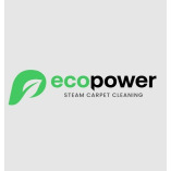 EcoPower Steam Carpet Cleaning