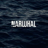 Narwhal Media Group