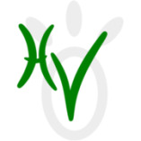 HönneVital - Dein Fitnessstudio in Balve logo