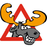 Fahrschule Teach and Drive logo