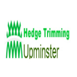 Hedge Trimming Upminster