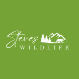 Steve's Wildlife