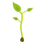 Pflanzbar Growshop logo