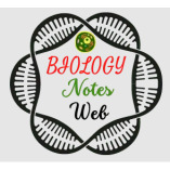 Biology Notes Web