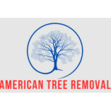 American Tree Removal