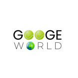 Googe World