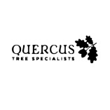 Quercus Tree Specialists ltd