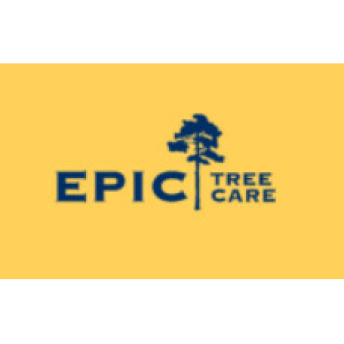 Epic Tree Care Reviews & Experiences