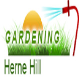 Gardening Herne Hill