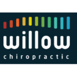 Willow Chiropractic - Bedminster