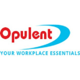 OPULENT COLLECTION LTD