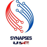 Synapses USA