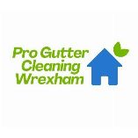 Pro Gutter Cleaning Wrexham