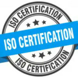 The ISO Consultant