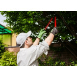 Everglades County Tree Services