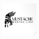 Boston Limo Mustache & Car service Inc