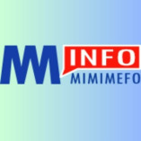 Mimi Mefo Info Ltd