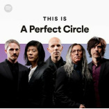 A Perfect Circle Merch