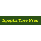 Apopka Tree Pros