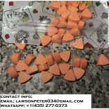 BUY XTC PILLS ONLINE