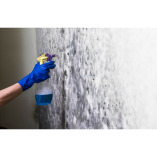 Fort Myers Mold Solutions