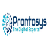 Prontosys IT Services