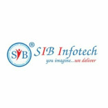 sibinfotech05