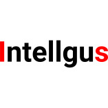 Intellgus - Outsourced Accounting Company