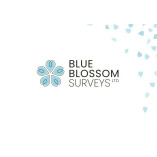Blue Blossom Surveys Ltd
