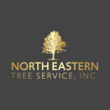 North Eastern Tree Service