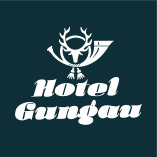 Hotel Gungau in Saalbach Hinterglemm