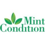 Mint Condition Commercial Cleaning Jacksonville