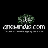 A New India SEO Reseller Agency