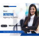 Apex Detective Agency