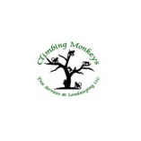 Climbing Monkeys Tree Services & Landscaping, LLC