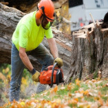 Electric City Tree Service