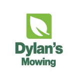 Dylans Mowing