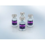 Christopher Dimartino