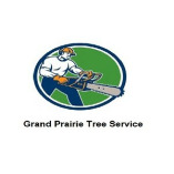 Grand Prairie Tree Service