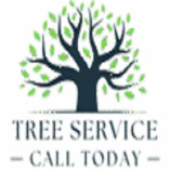 treeserviceelmhurstil