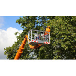 Asnuntuck Tree Services