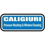 Caligiuri Pressure Washing and Window Cleaning