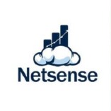 Netsense - ERP System and Software Provider in Malaysia