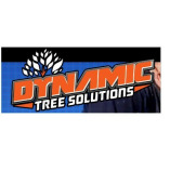 dynamictreesolutions