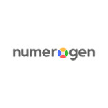 Numeroghen Solutions