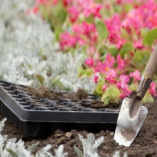 Pressure Washing Mayfair