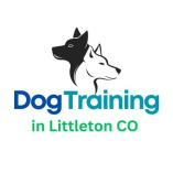 Sit Means Sit Dog Training - Littleton CO