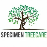 Specimen Treecare Ltd