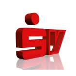 SV SparkassenVersicherung: Generalagentur Florian Franke logo